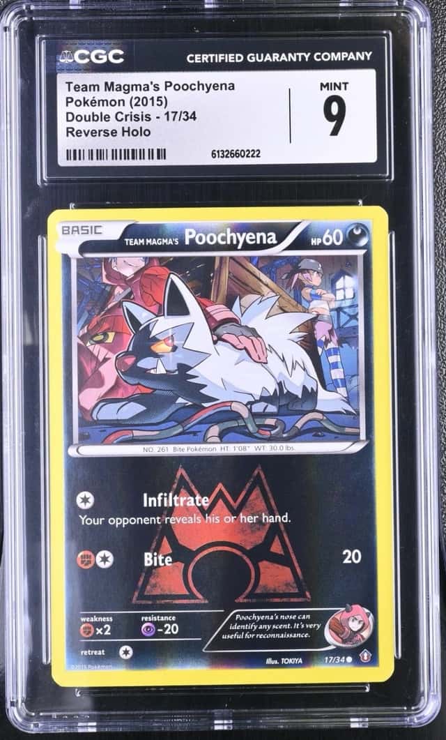 Team Magma's Poochyena