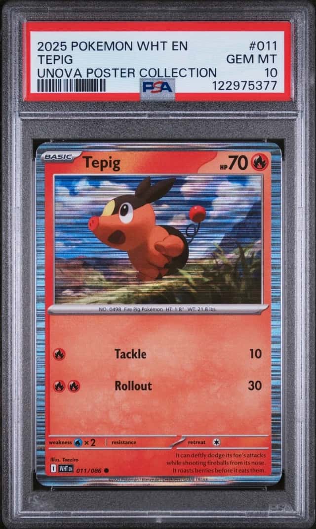 Tepig