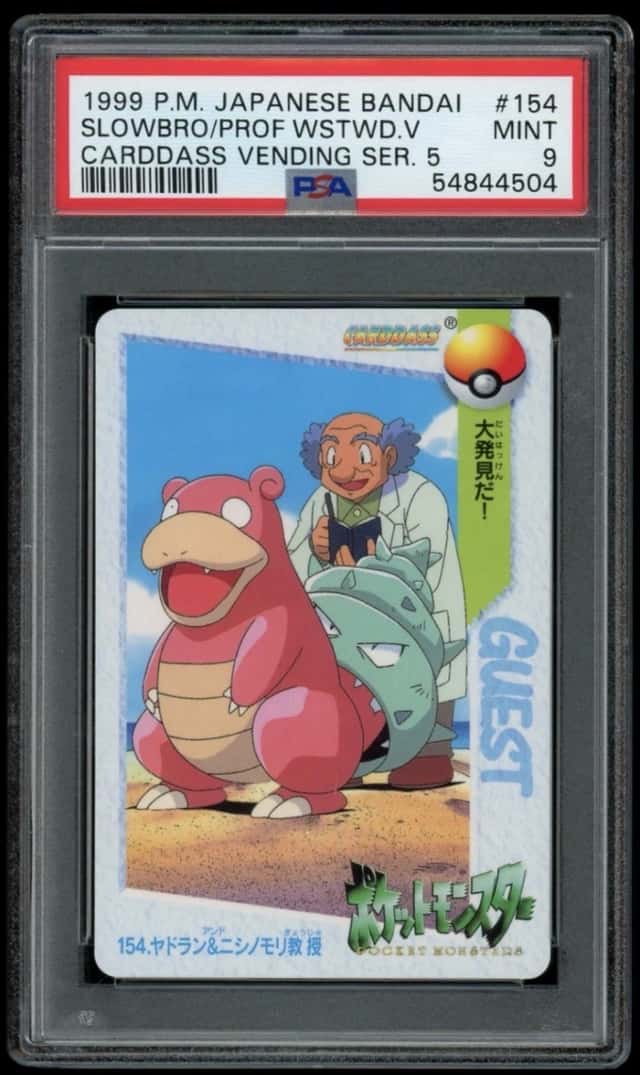 SLOWBRO/PROF.WSTWD.V