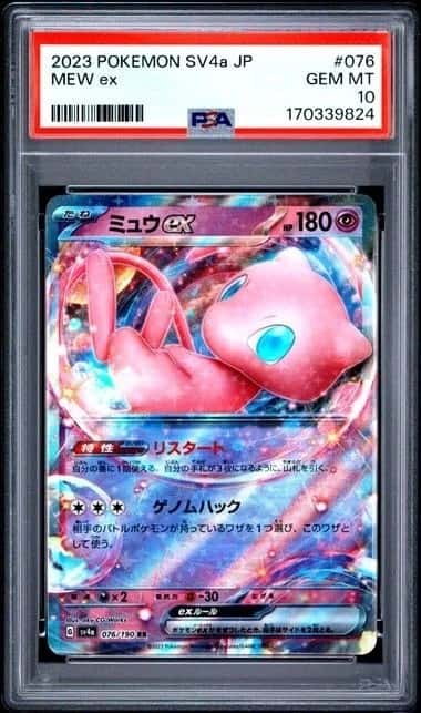 MEW ex