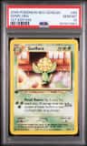 Sunflora