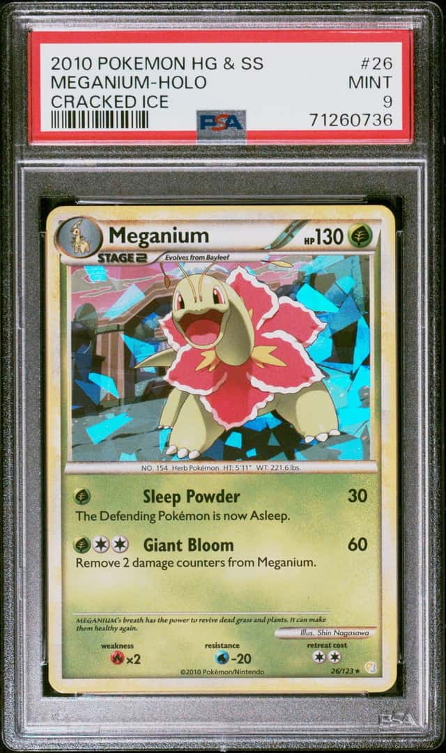 Meganium