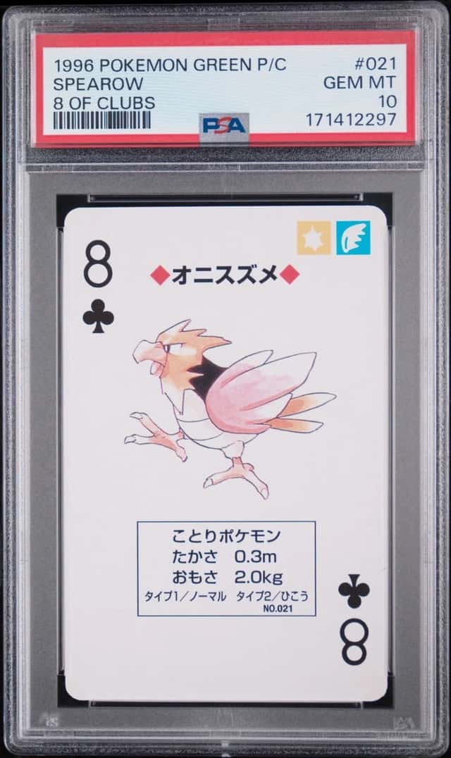 Spearow