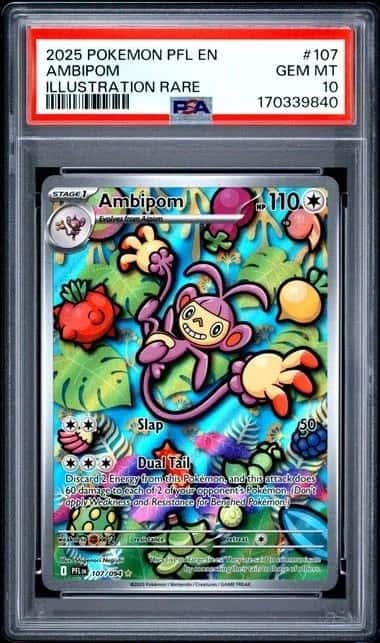 Ambipom