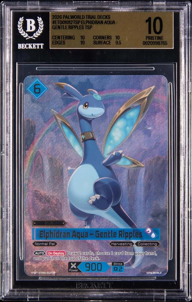 Elphidran Aqua