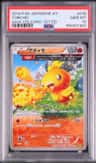 Torchic
