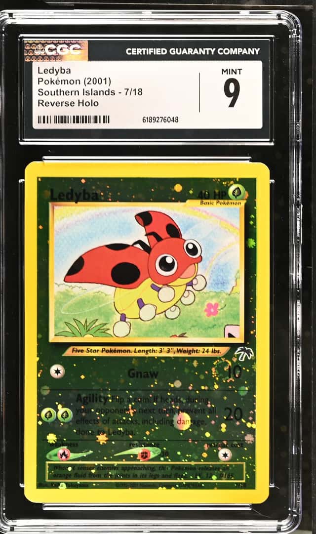 Ledyba