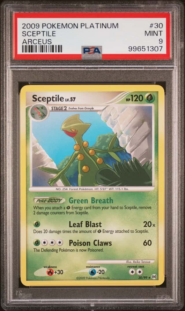 Sceptile