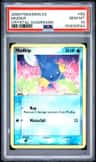 Mudkip