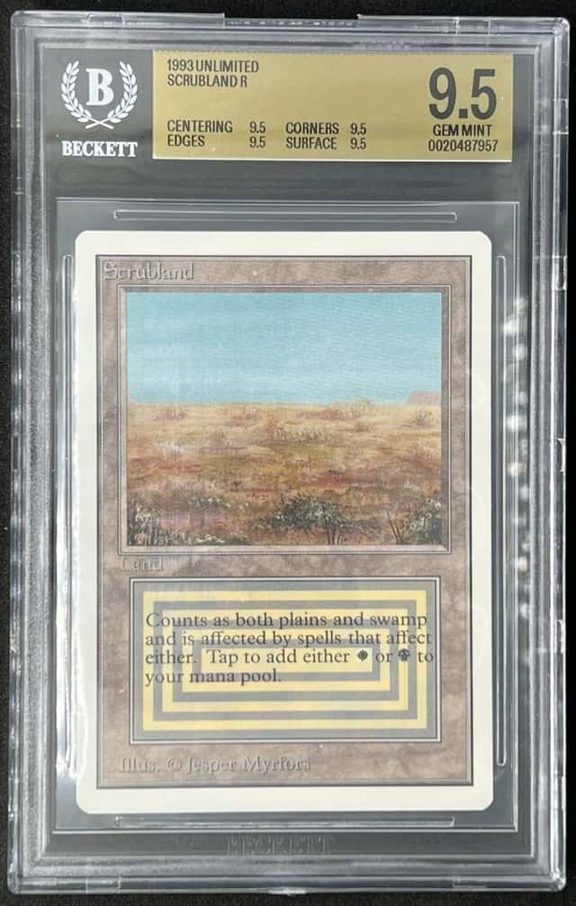 Scrubland R :L: