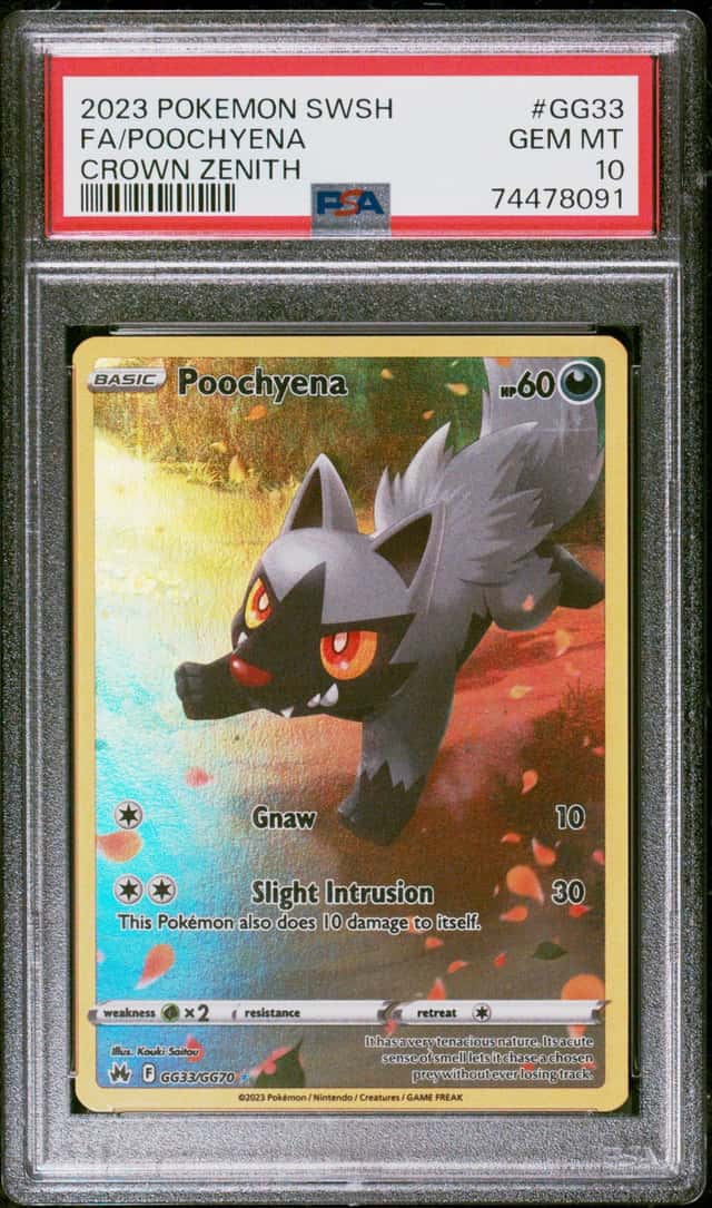 Poochyena
