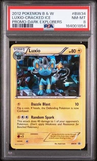 Luxio-Cracked Ice