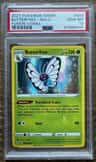 Butterfree