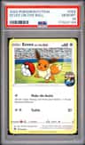 Eevee On The Ball