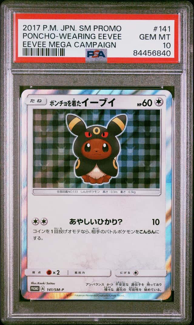 Poncho-Wearing Eevee