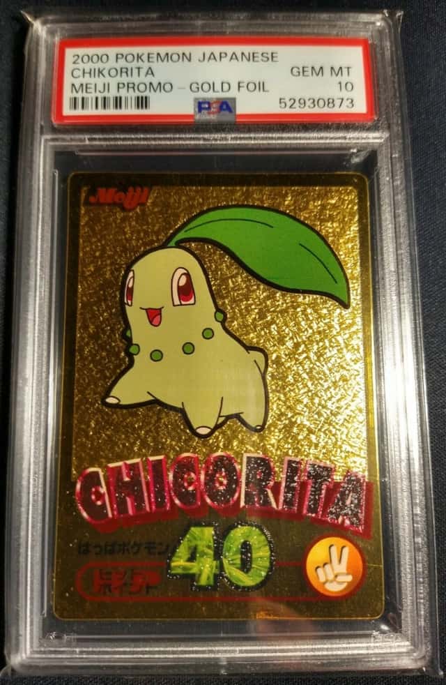 Chikorita