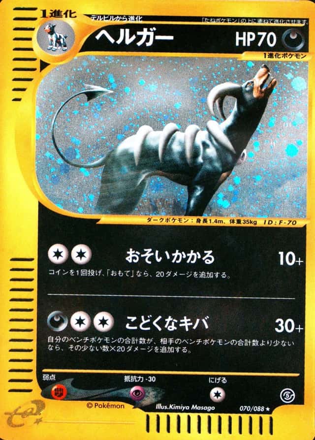 Holo