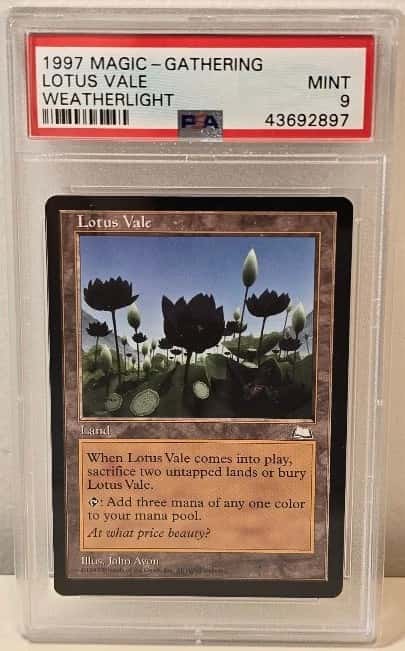 Lotus Vale