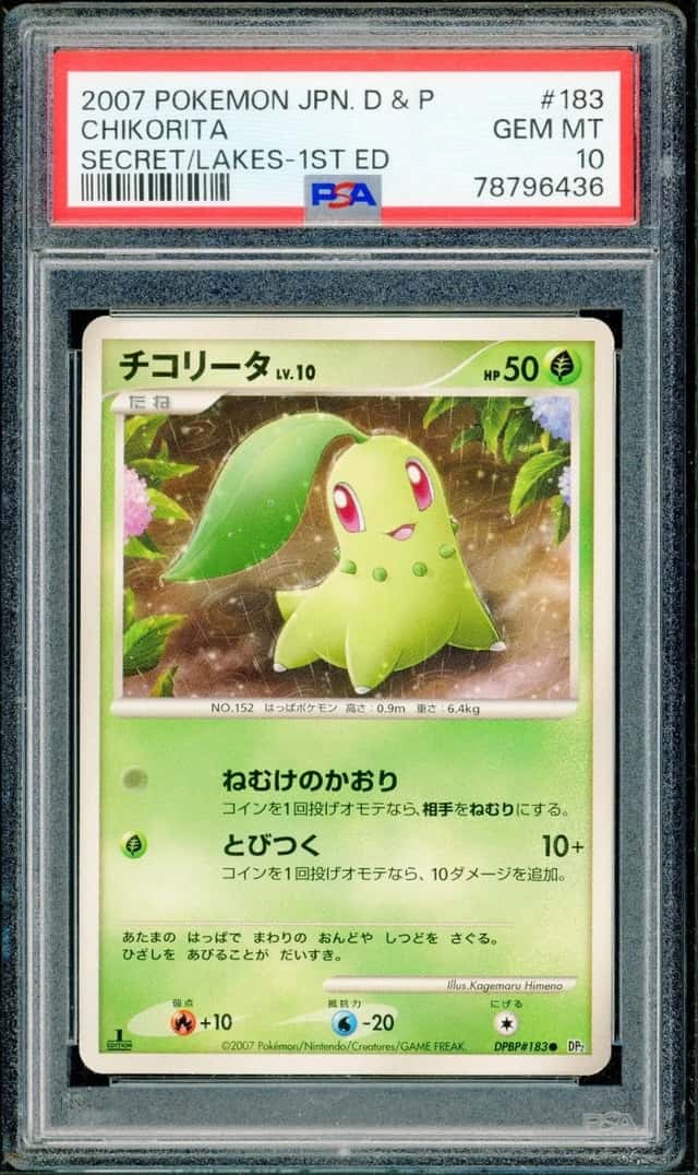 Chikorita