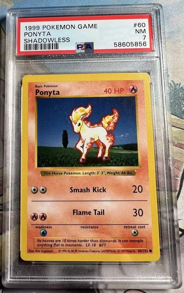 Ponyta