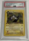 Dark Magneton