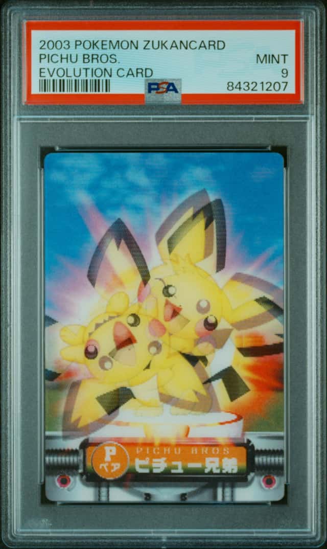 Pichu Bros