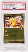 Tohoku'S Pikachu
