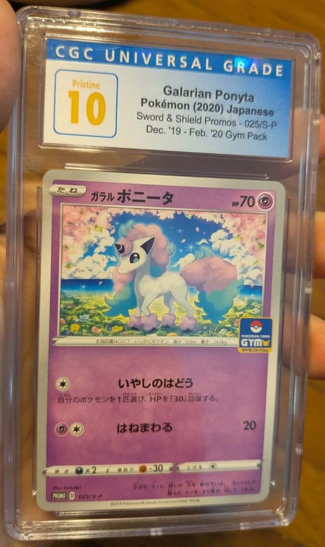 Galarian Ponyta