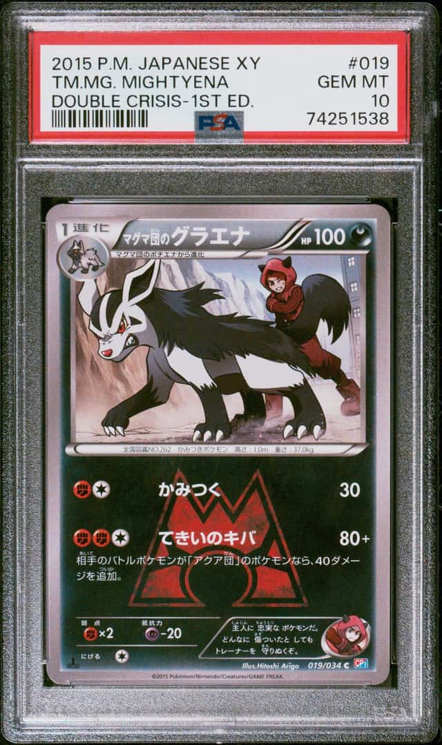 TM.MG. MIGHTYENA