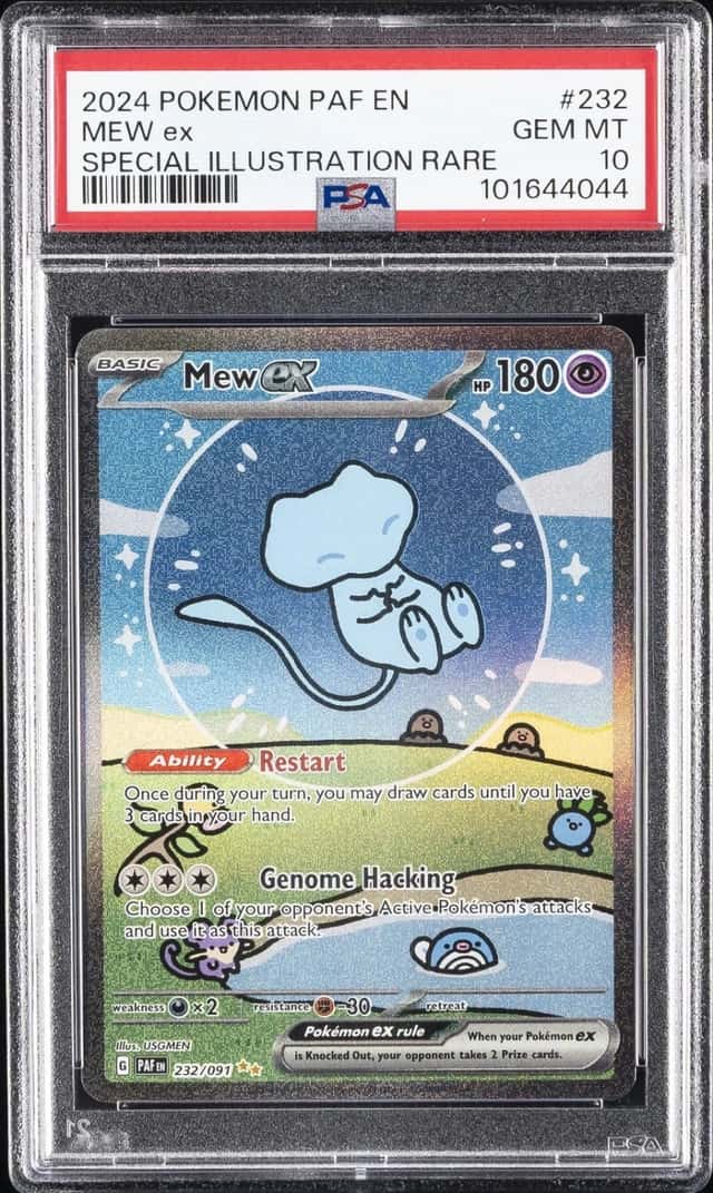 MEW ex