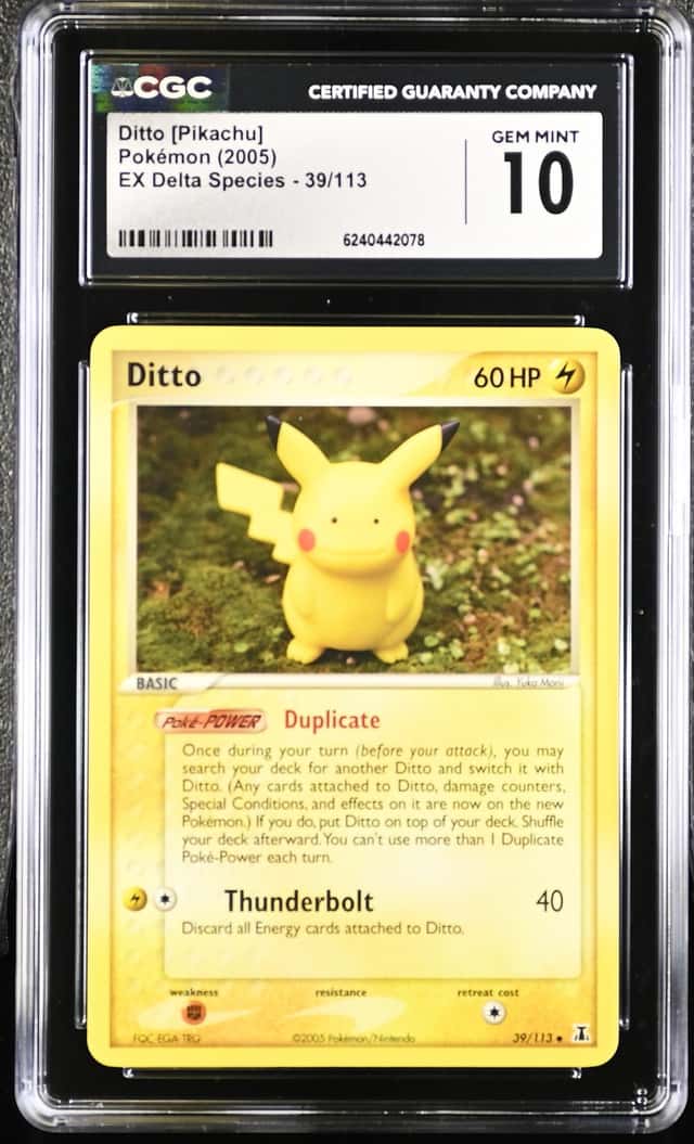 Ditto
