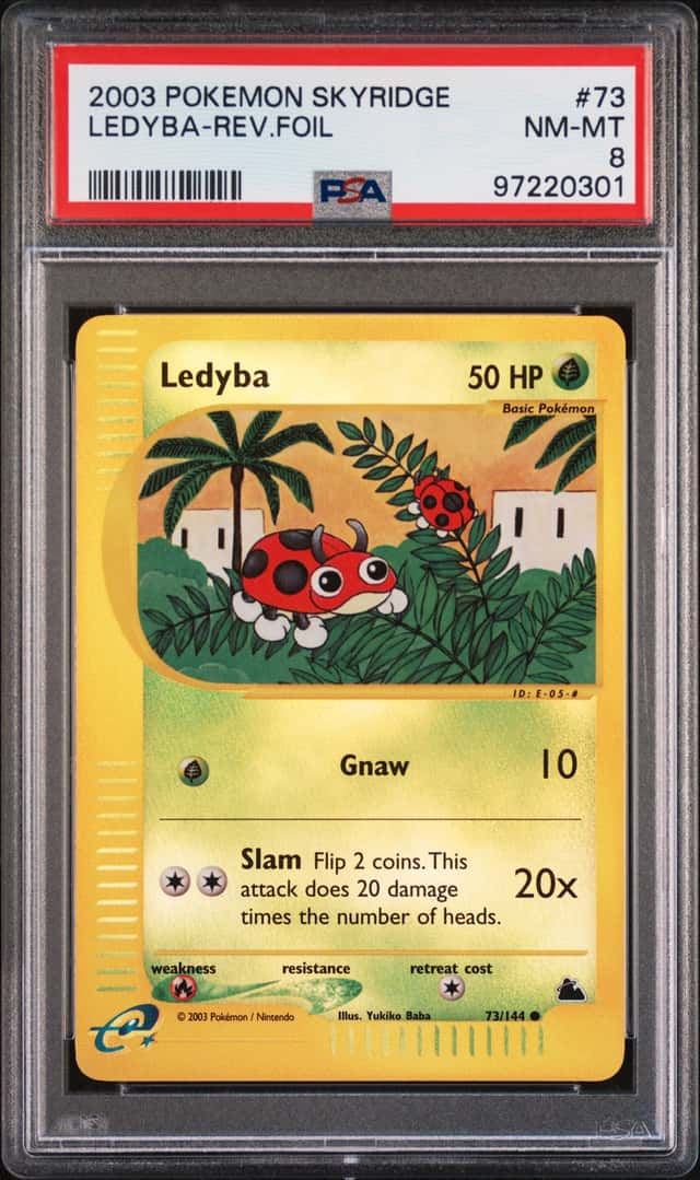 Ledyba
