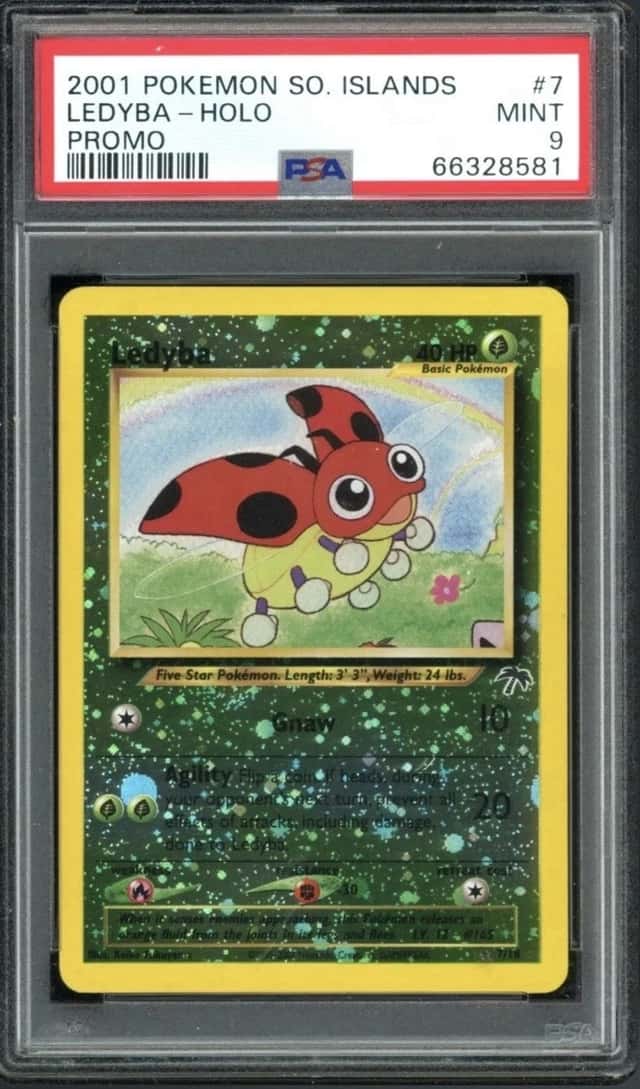 Ledyba