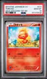 Torchic