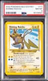 Shining Raichu