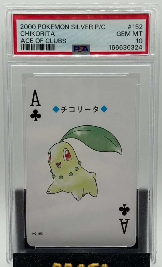 Chikorita
