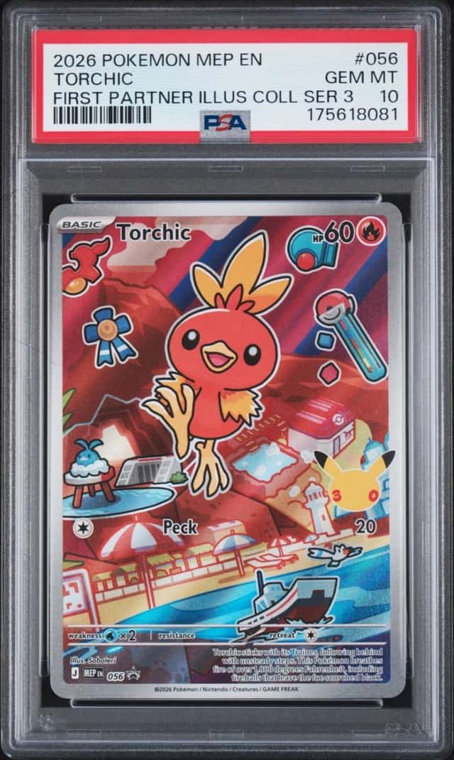 Torchic