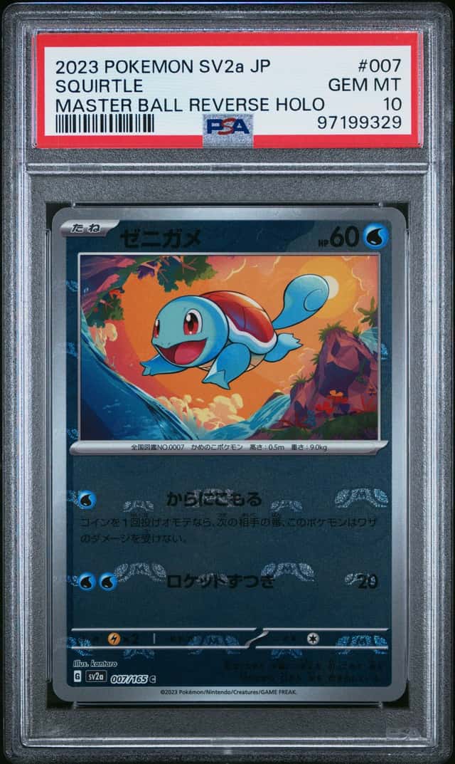 Squirtle