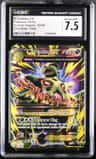 M Tyranitar Ex