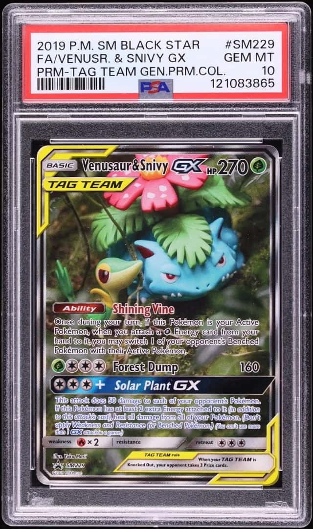 Venusaur & Snivy GX
