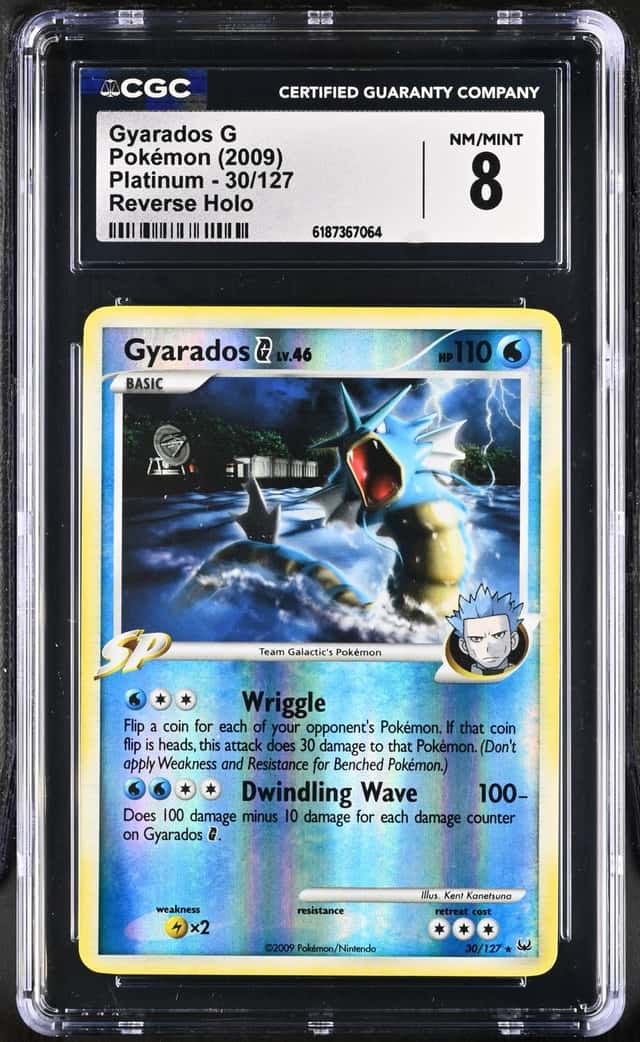 Gyarados G
