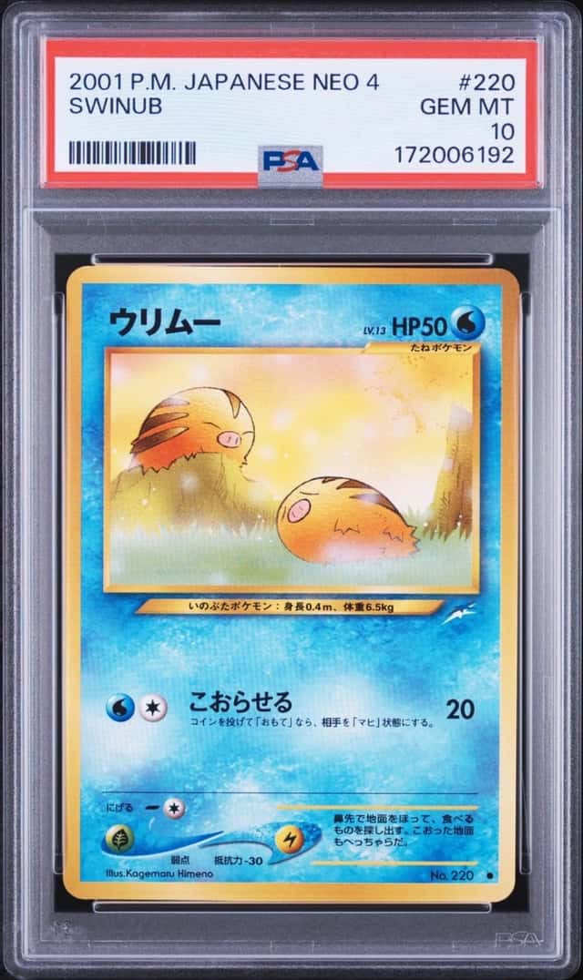 Swinub