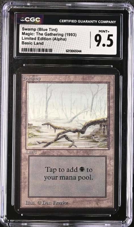 Swamp (Blue Tint)