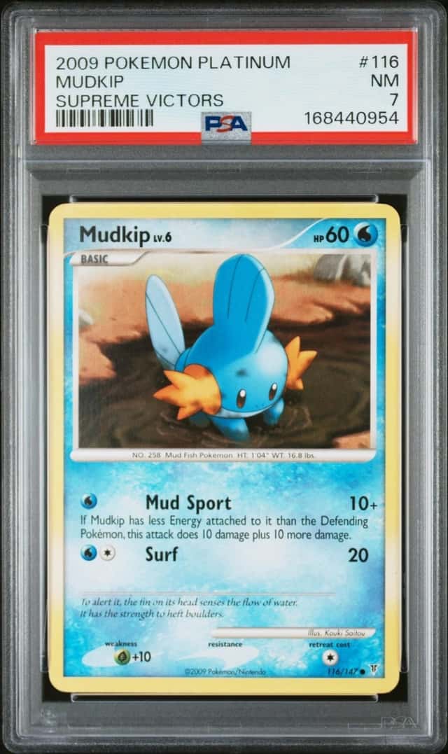 Mudkip