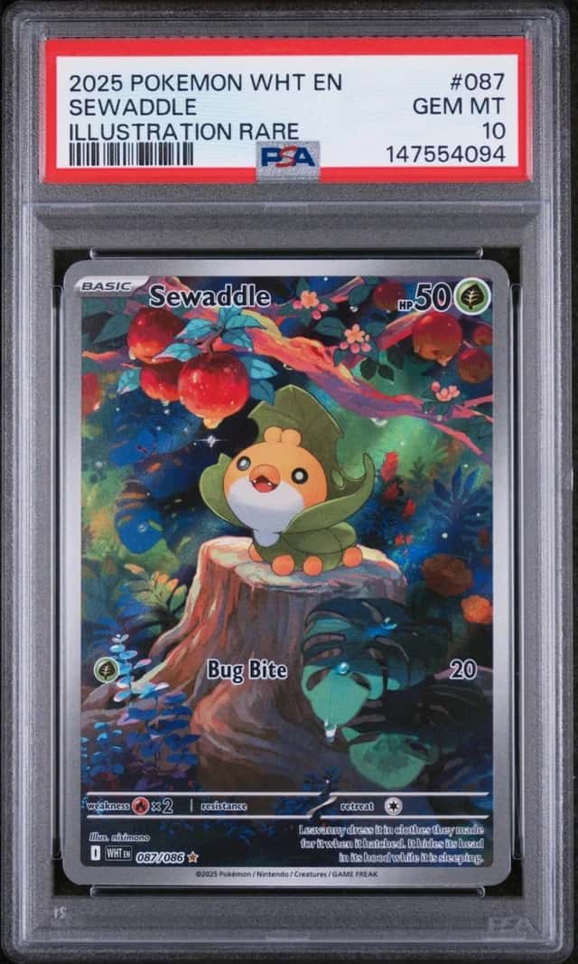 Sewaddle