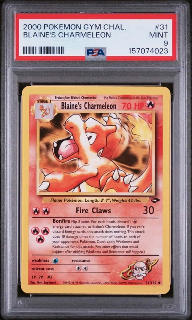 Blaine's Charmeleon