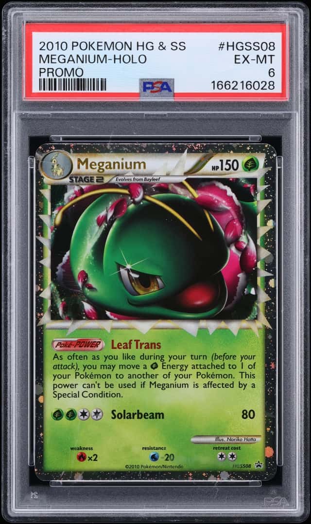 Meganium