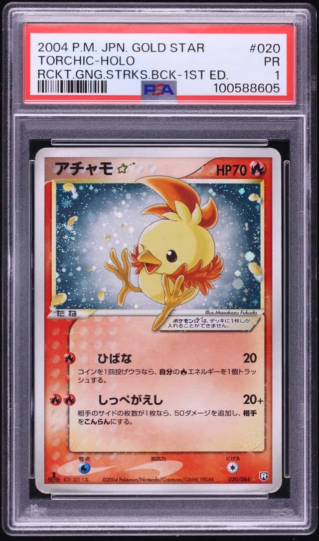 Torchic