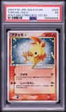 Torchic
