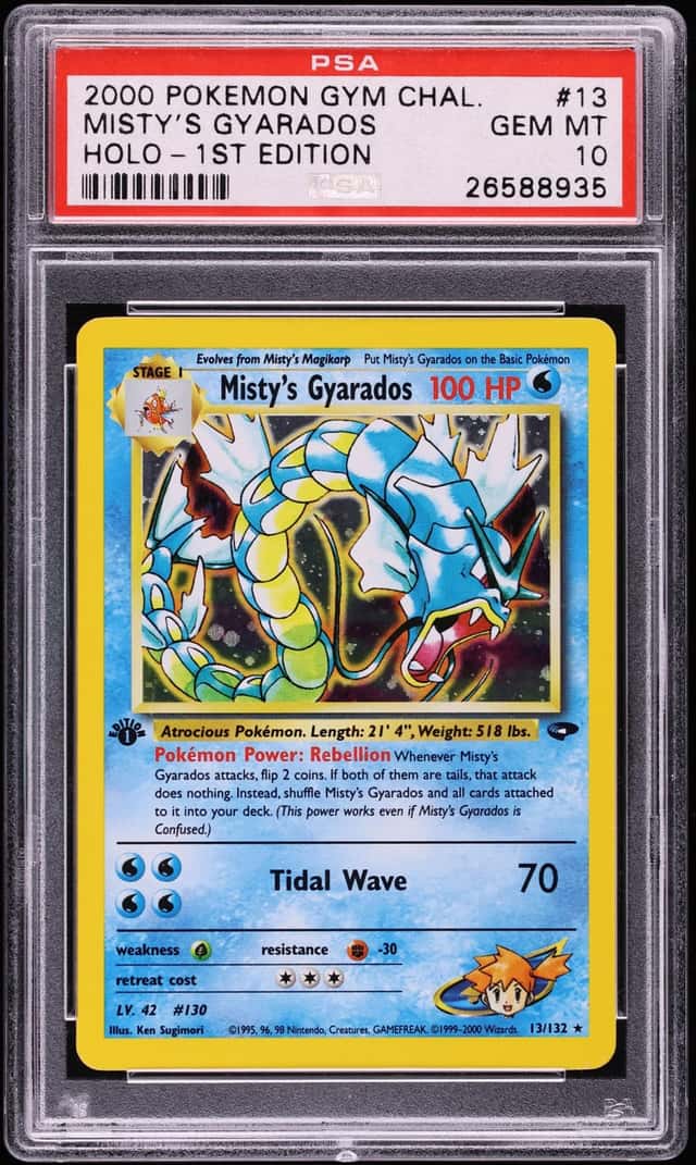 Misty's Gyarados